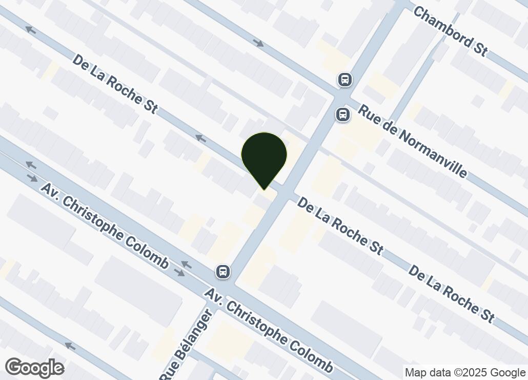 Map showing location at 45.5416507, -73.6080089