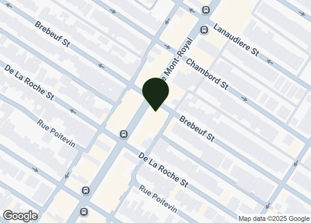 Map showing location at 45.5291221, -73.5779521