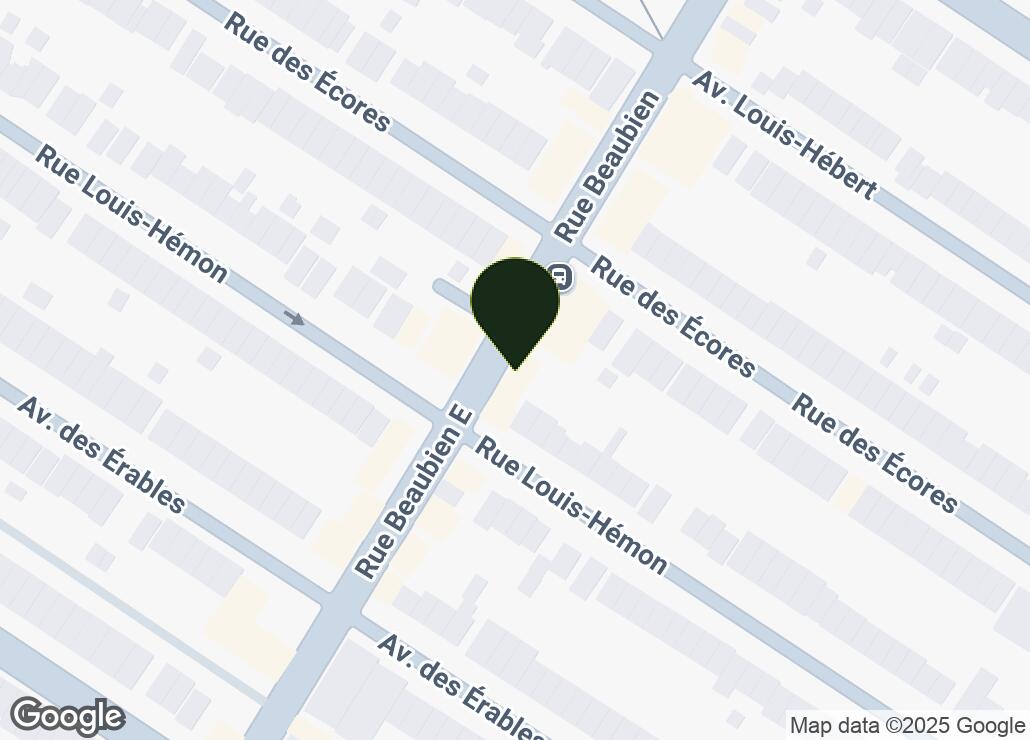 Map showing location at 45.5471169, -73.5930089