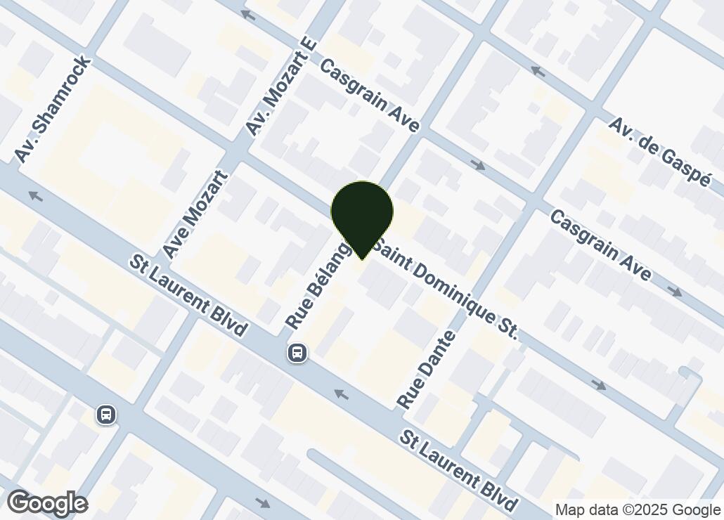 Map showing location at 45.5335711, -73.6141504