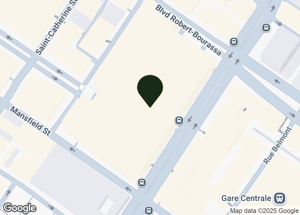 Map showing location at 45.5012786, -73.5689136