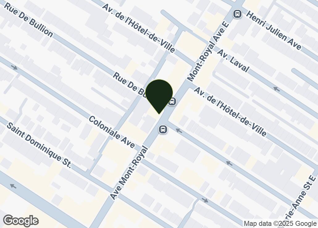 Map showing location at 45.521587, -73.5851816