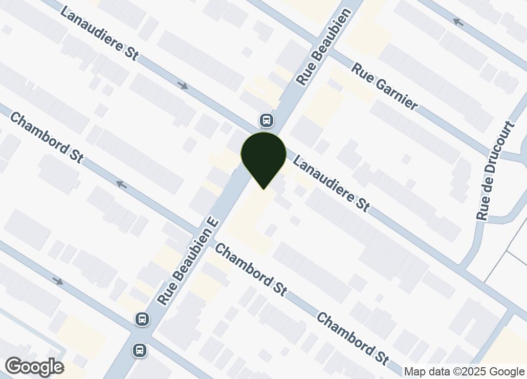 Map showing location at 45.5403265, -73.5989393