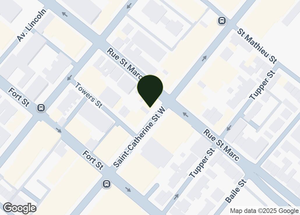 Map showing location at 45.4927355, -73.5807708