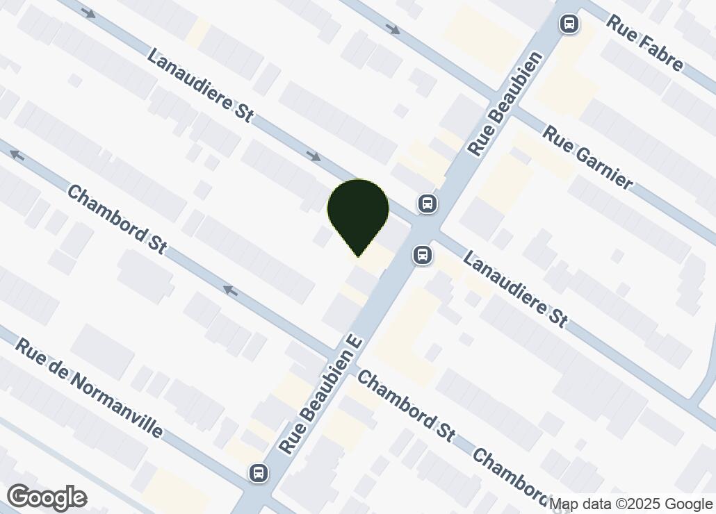 Map showing location at 45.5405424, -73.5994458