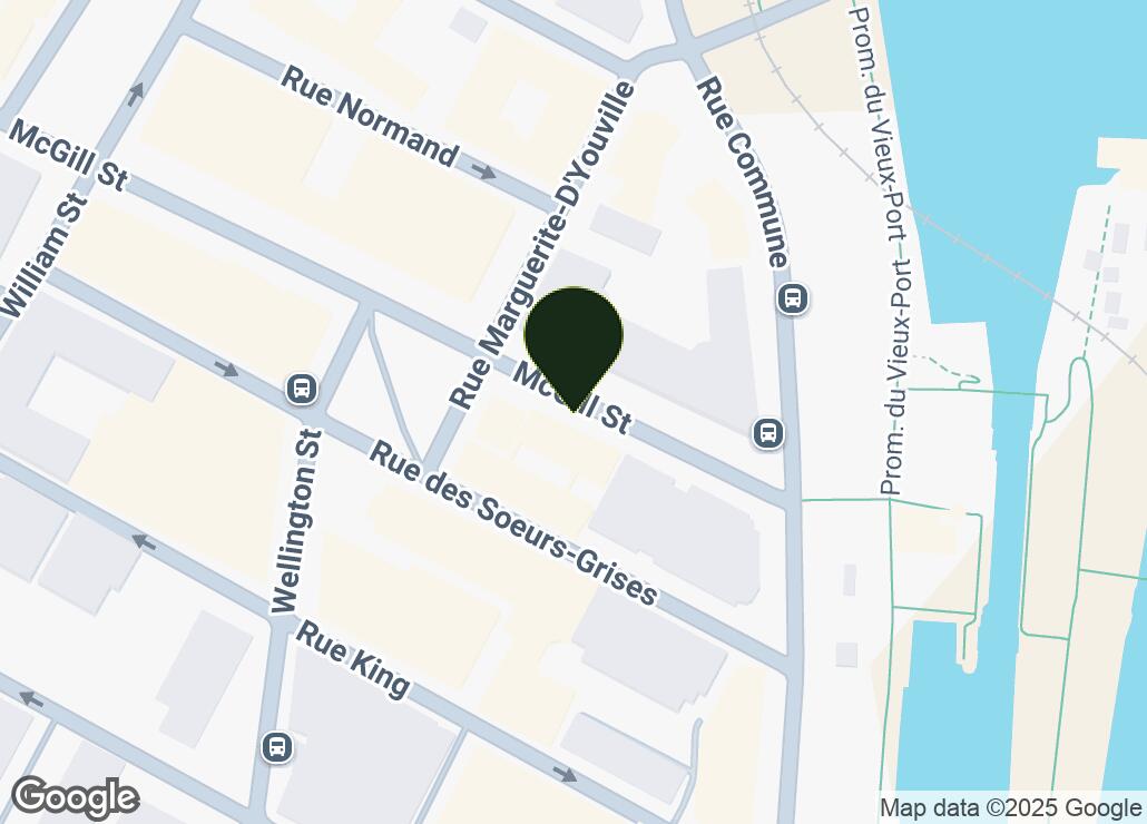 Map showing location at 45.4990199, -73.5538915