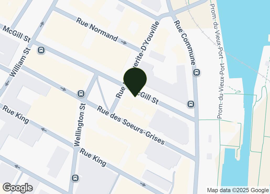 Map showing location at 45.4990504, -73.5540914