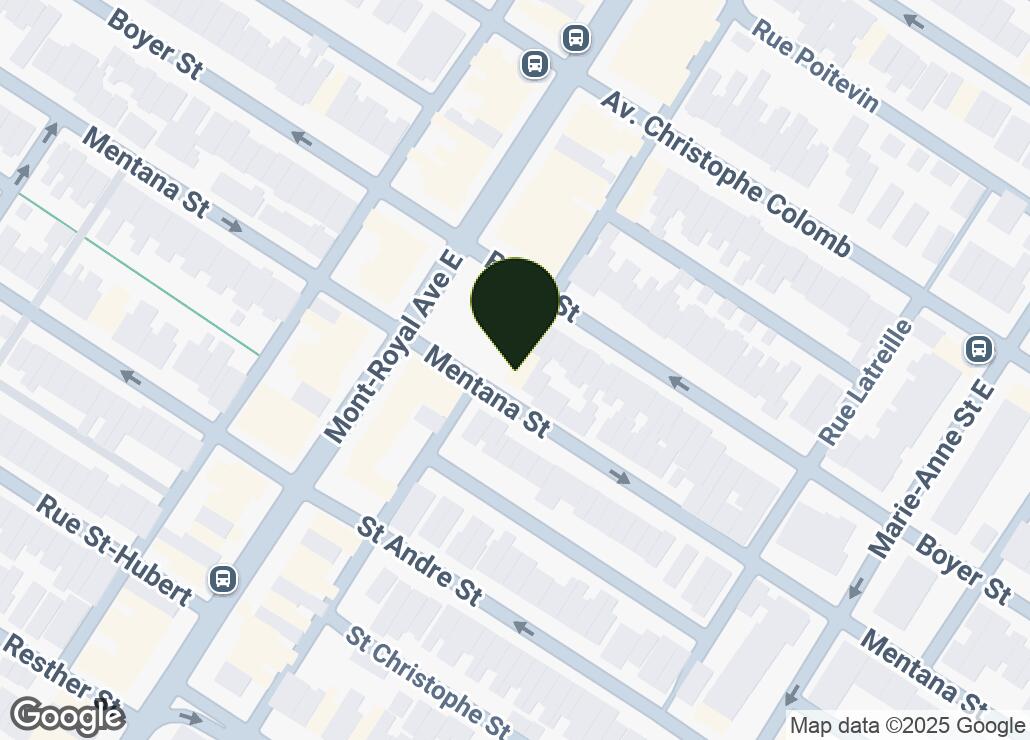 Map showing location at 45.5268842, -73.5795218