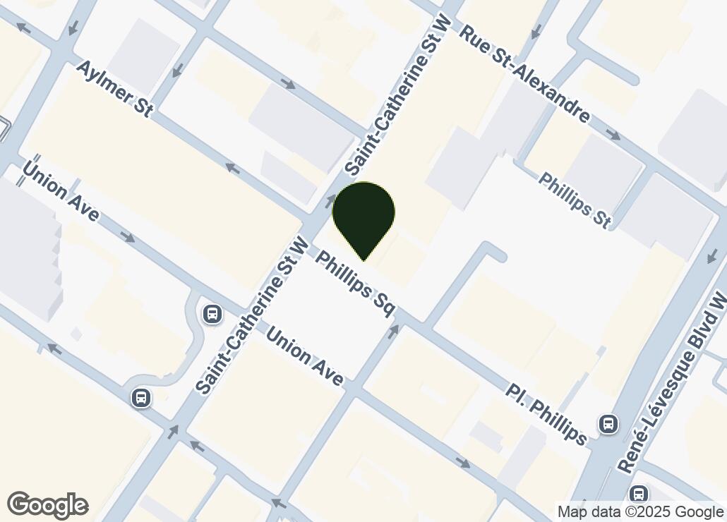 Map showing location at 45.5040831, -73.5683614