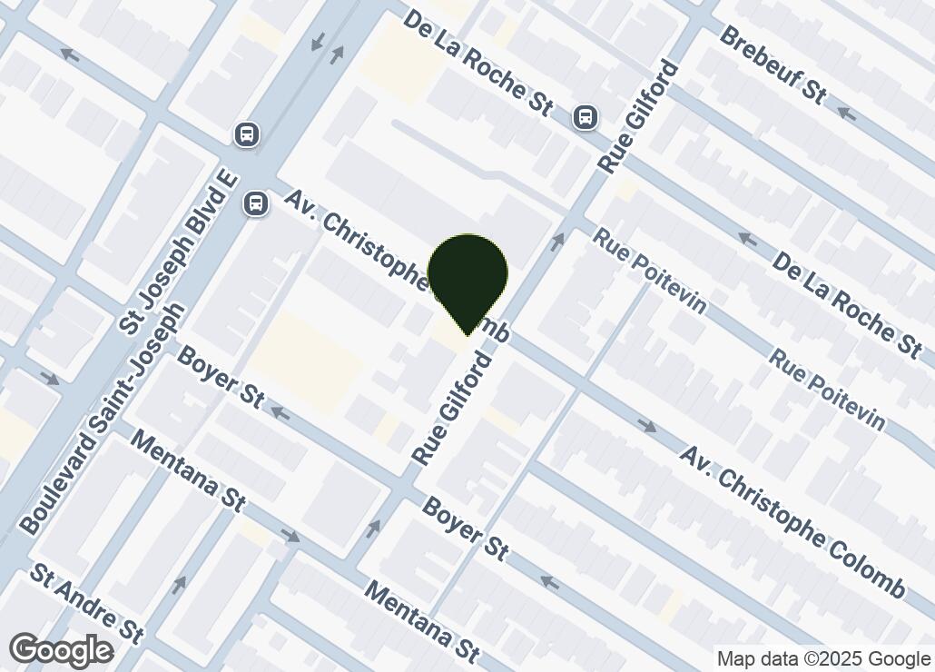 Map showing location at 45.5295646, -73.5828915