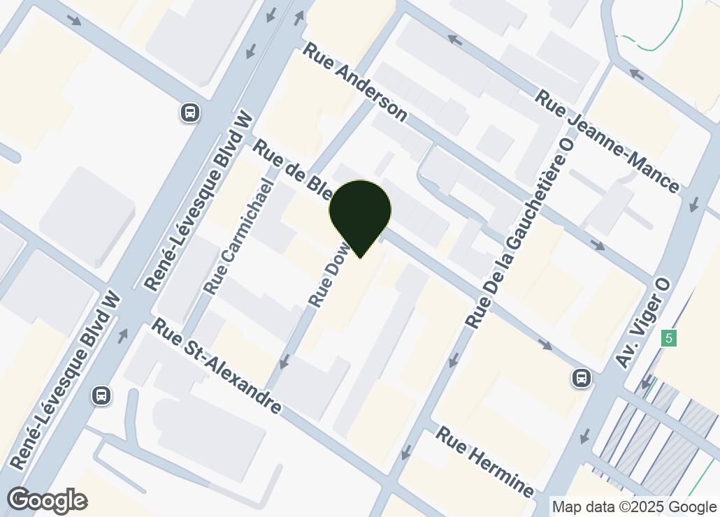 Map showing location at 45.5045089, -73.5636596