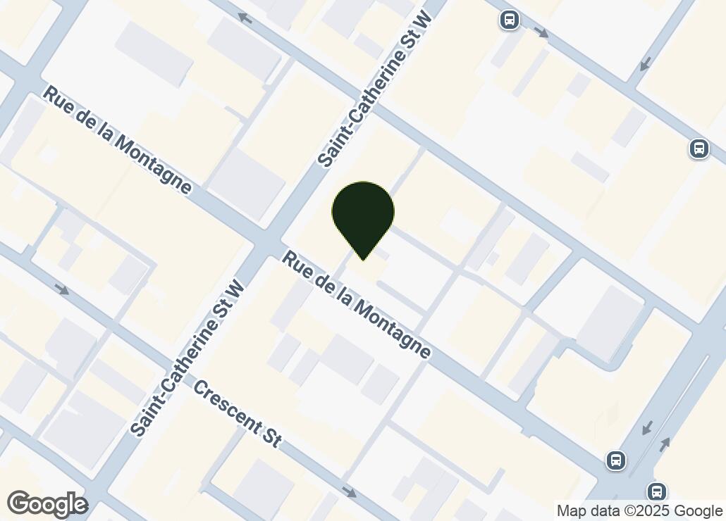 Map showing location at 45.4977951, -73.5743155