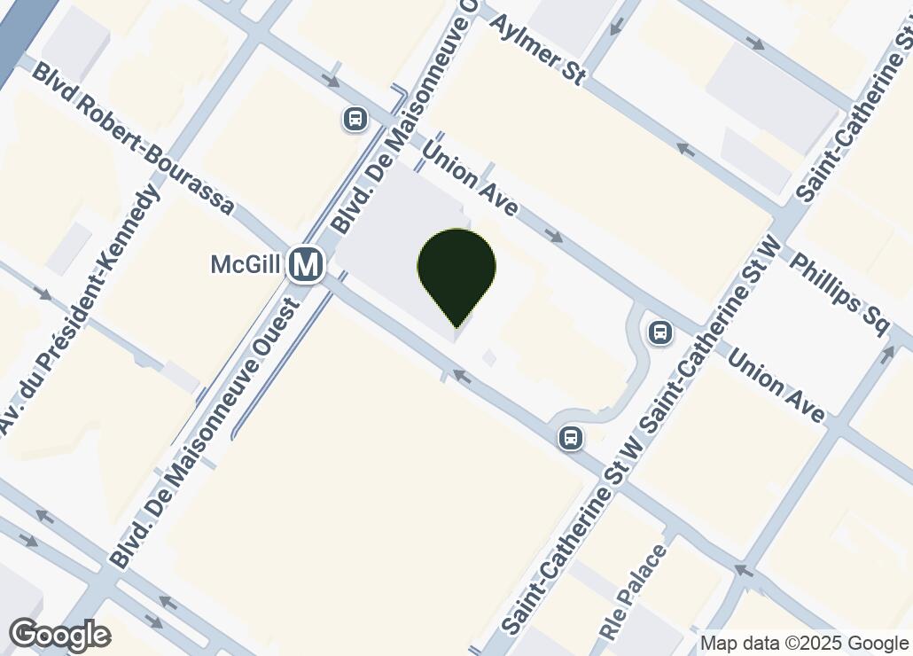 Map showing location at 45.5038213, -73.5707385