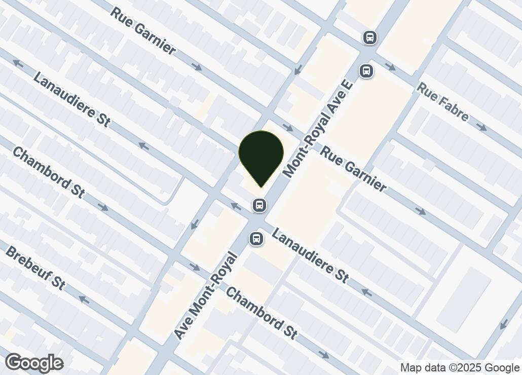 Map showing location at 45.5305176, -73.5770355