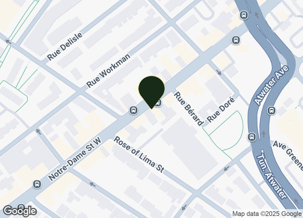 Map showing location at 45.4800996, -73.579833