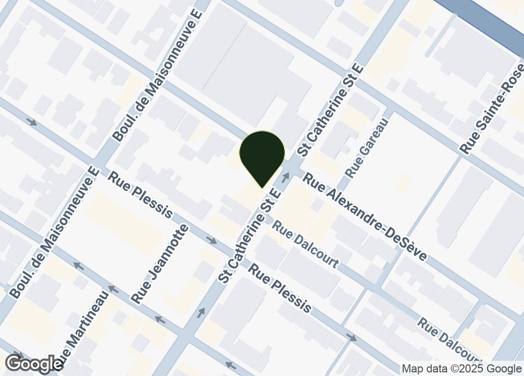 Map showing location at 45.5210222, -73.5540002