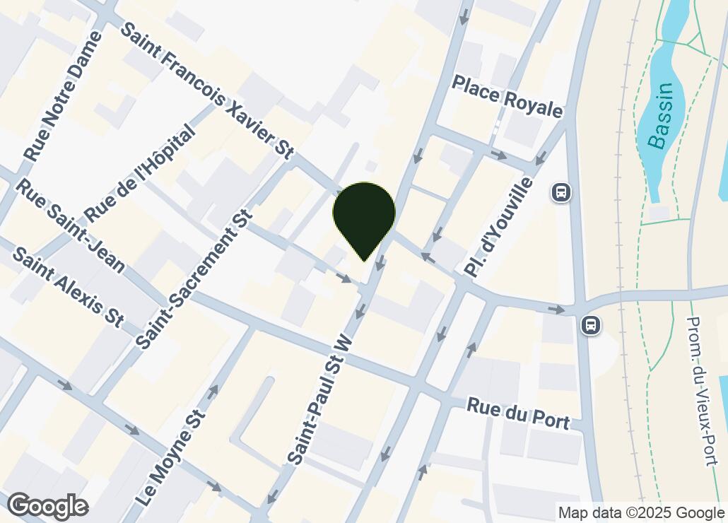 Map showing location at 45.5025795, -73.5554629