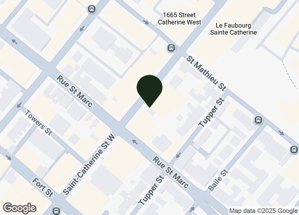 Map showing location at 45.4930908, -73.5798531